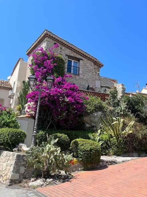 Strelizia - New Central Old Antibes For 4 Ac מראה חיצוני תמונה