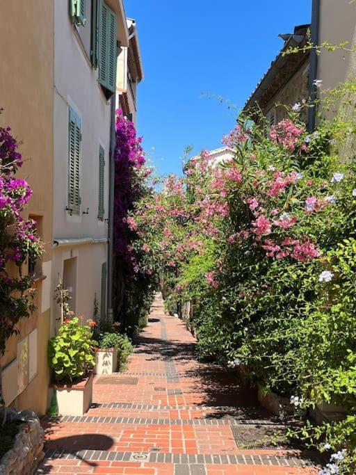 Strelizia - New Central Old Antibes For 4 Ac מראה חיצוני תמונה
